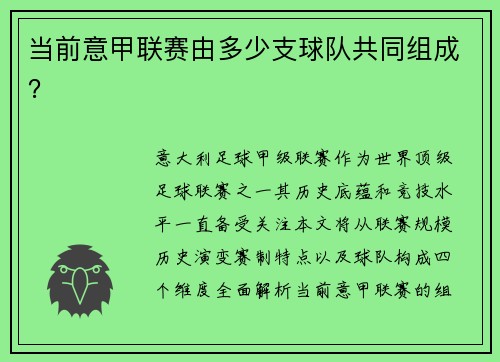 当前意甲联赛由多少支球队共同组成？